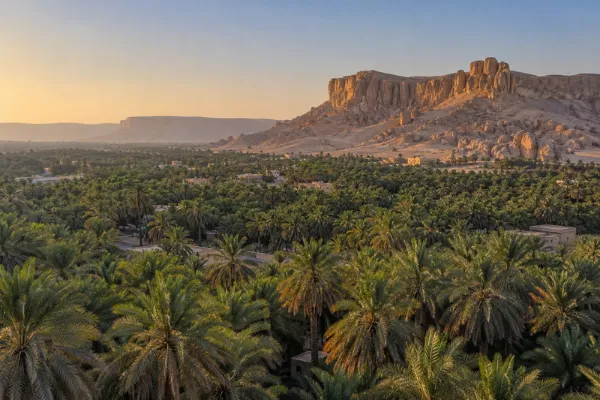 مدينة الأحساء